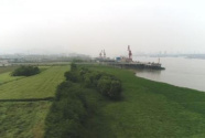 為了“一岸翠綠”——江西九江生態修復百里長江